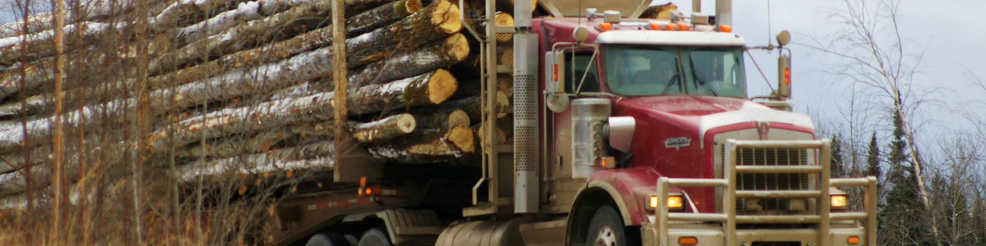 logging truck